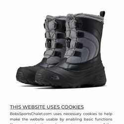 The North Face Boots Size 12c