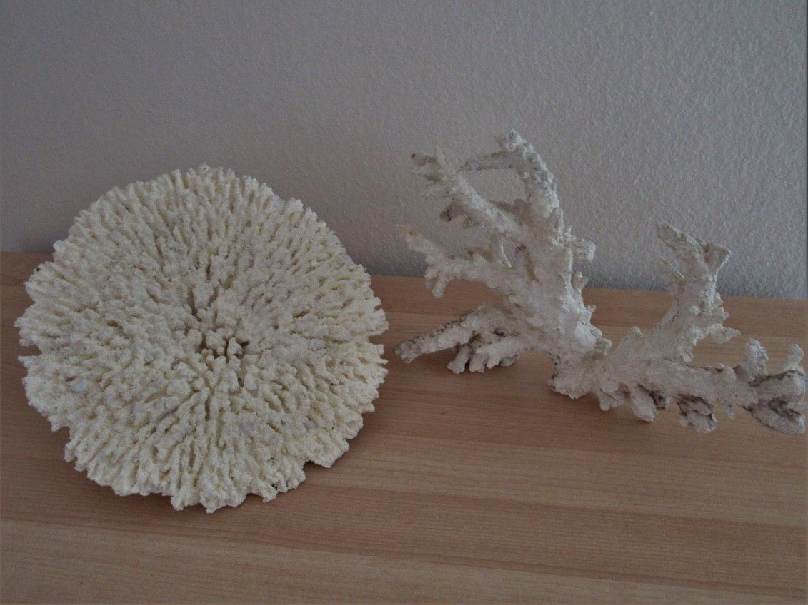 2 artificial white Coral Pieces, 11"×8" and 11" round for Fish Tank