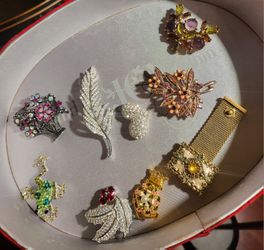 Variety Of Broushes, Pins. $20 Each