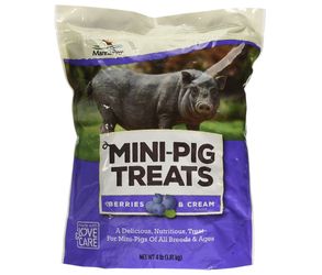 Manna Pro Mini-Pig Treats | Nutritious Treats for Pigs of All Breeds and Ages | Berries and Cream Flavor | 4lbs(Southwest Vegas)