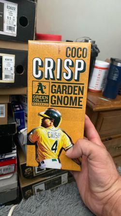 Coco garden gnome