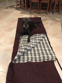 PRICE REDUCTION Two Sleeping bags