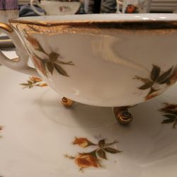 Cherry China Orange Rose