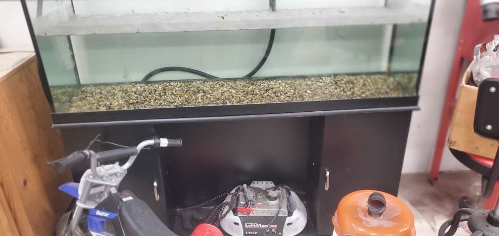 75 Gallon Fish Tank