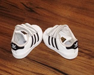 Adidas Super star  toddlers