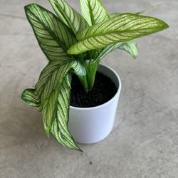 🌿 Decorative Potted Plant (Artificial)