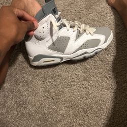 Cool Grey 6s