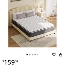 Twin XL Box Mattress 