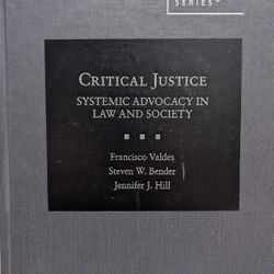 Valdes, Bender, and Hill's Critical Justice: Systemic Advocacy in Law and Society

