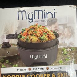 My Mini Noodle Cooler And Skillet
