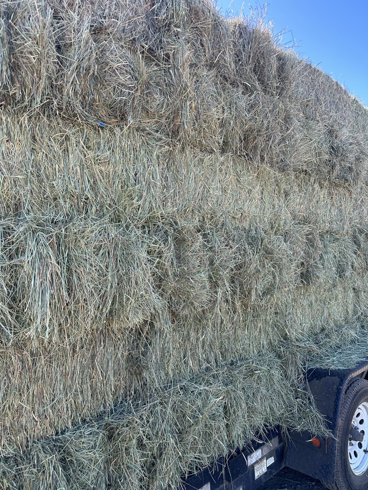 Beautiful 2025 1st Cutting Hay