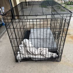XL Kennel