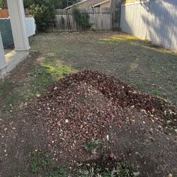 Free Lava Rocks! 
