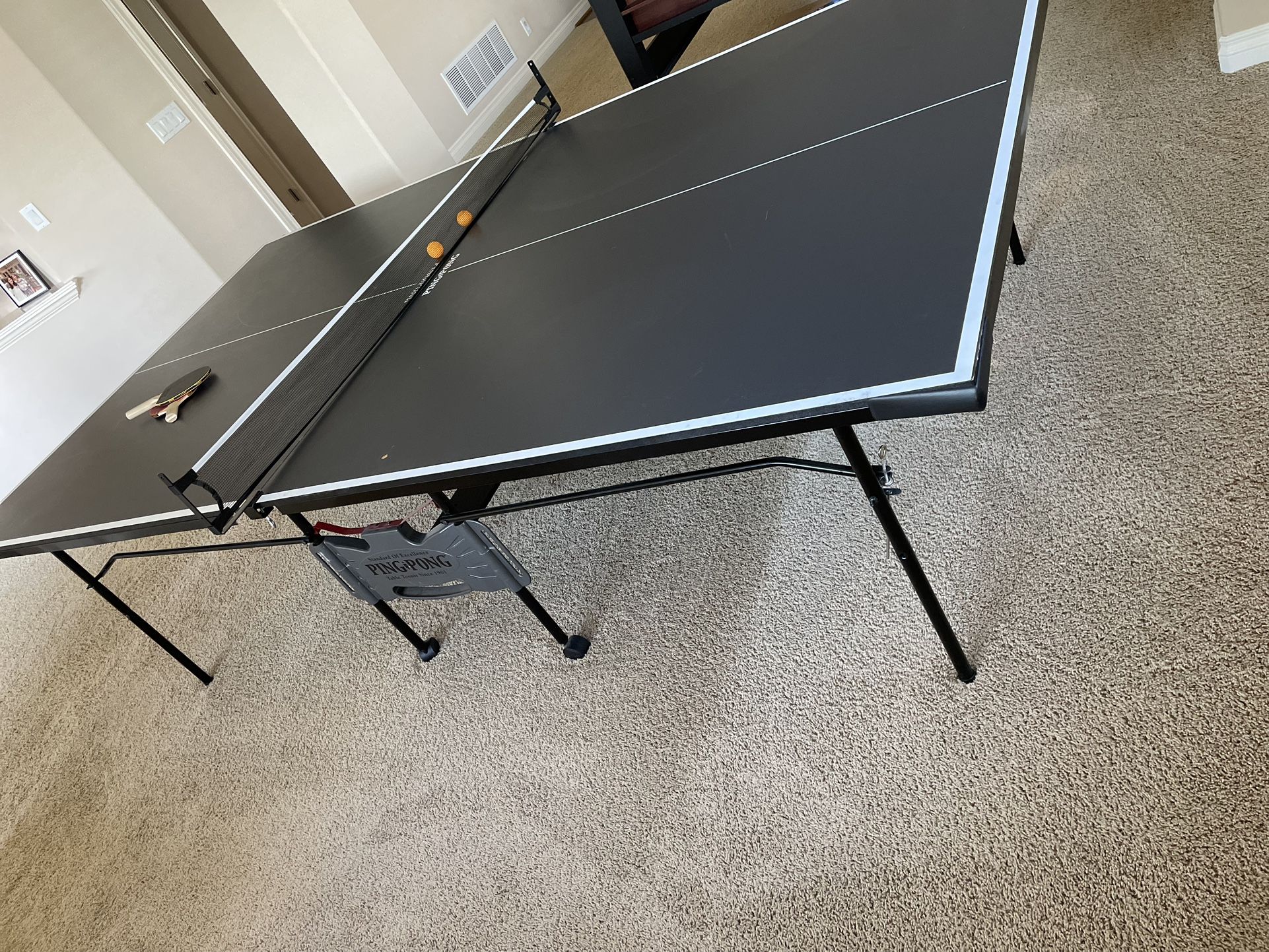 Ping Pong Table 