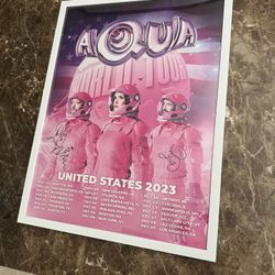 AUTOGRAPHED Aqua World Tour Poster