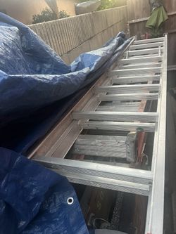 Werner Ladder