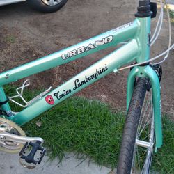 28" Lamborghini Bike