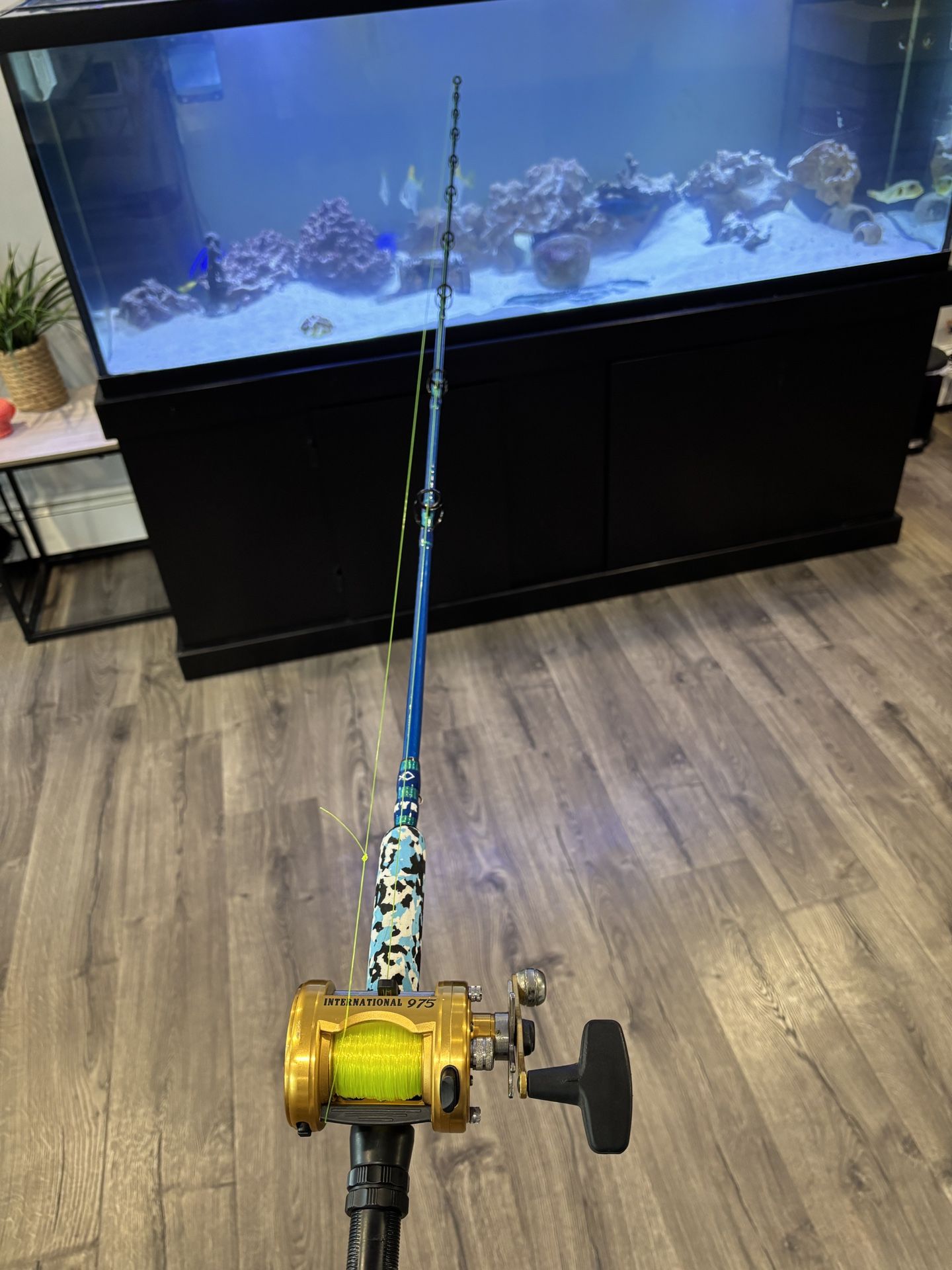 6’6 Custom Rod With Penn 975 Reel