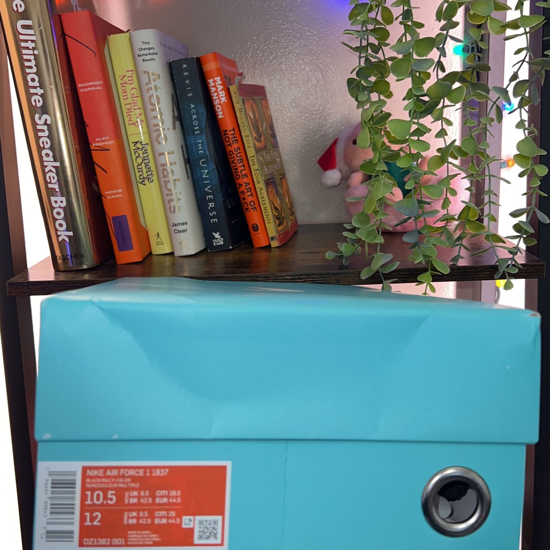 Tiffany Co x Nike Air Force Low