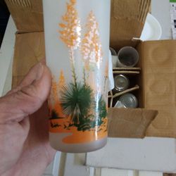 Vintage Blakely Oil & Gas Arizona Cactus Frosted Glasses Tumblers 