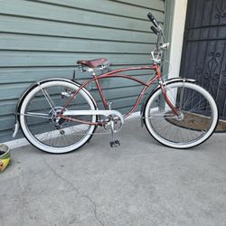 Schwinn Cruiser 5