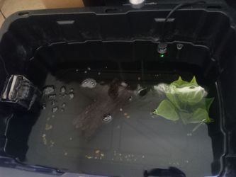 27 gallon pond set up