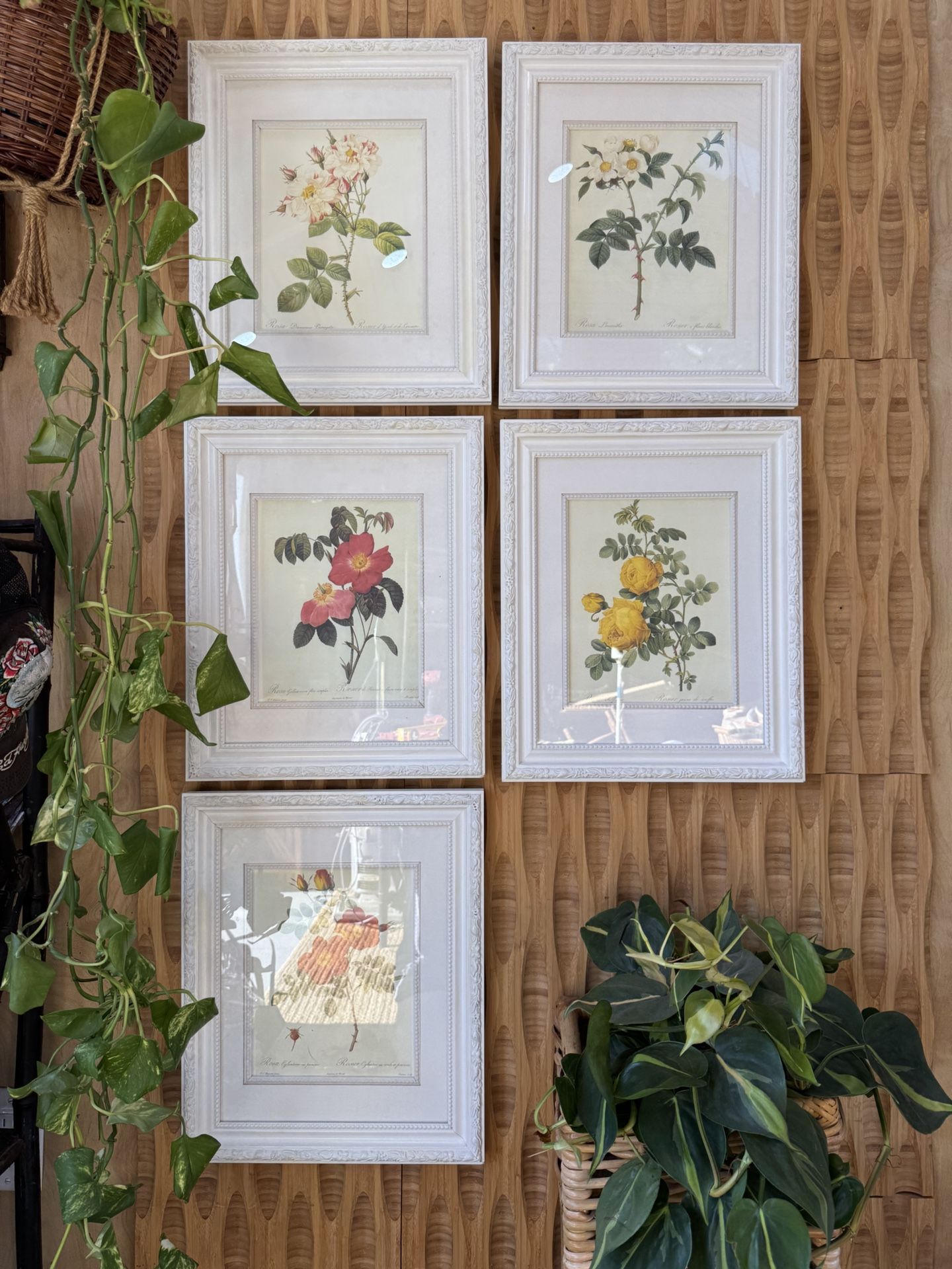 Roses 5 Floral Print Set Framed Botanical Vintage Inspired Anthro Pottery Cottage Farmhouse Shabby