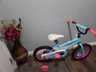 Concord Bike Kids 16 new Ready to ride good condition