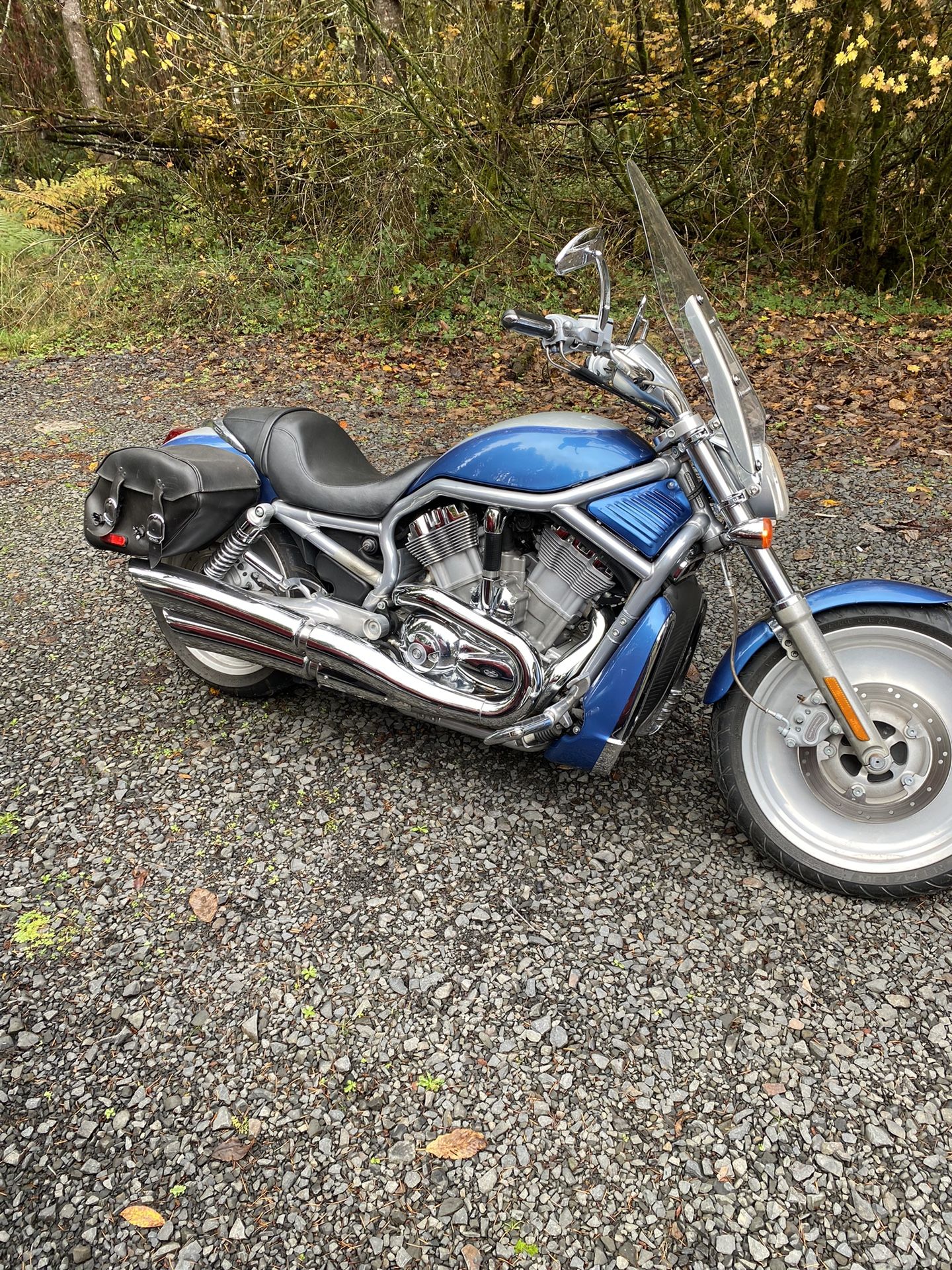 2005 Harley Davidson