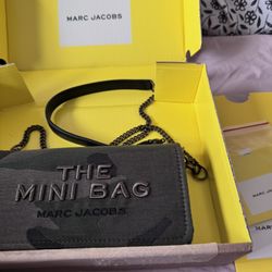 the mini bag