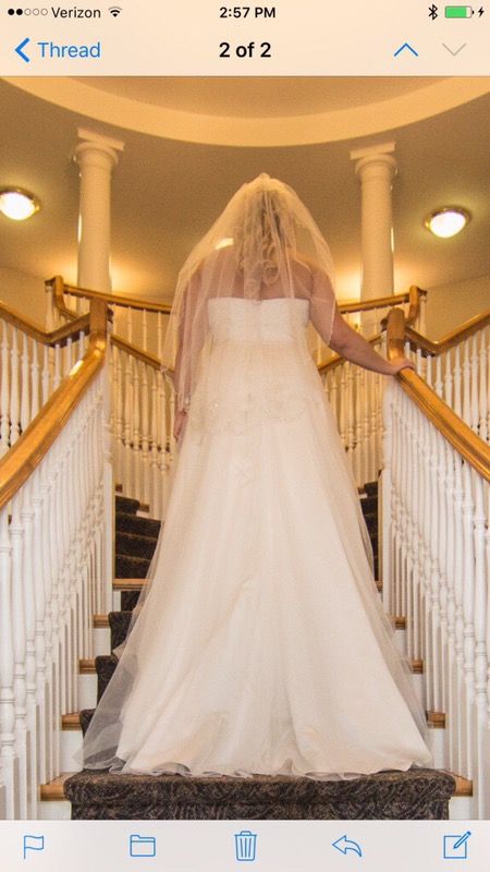 Champagne ivory wedding dress with sequins and pearls on the corset