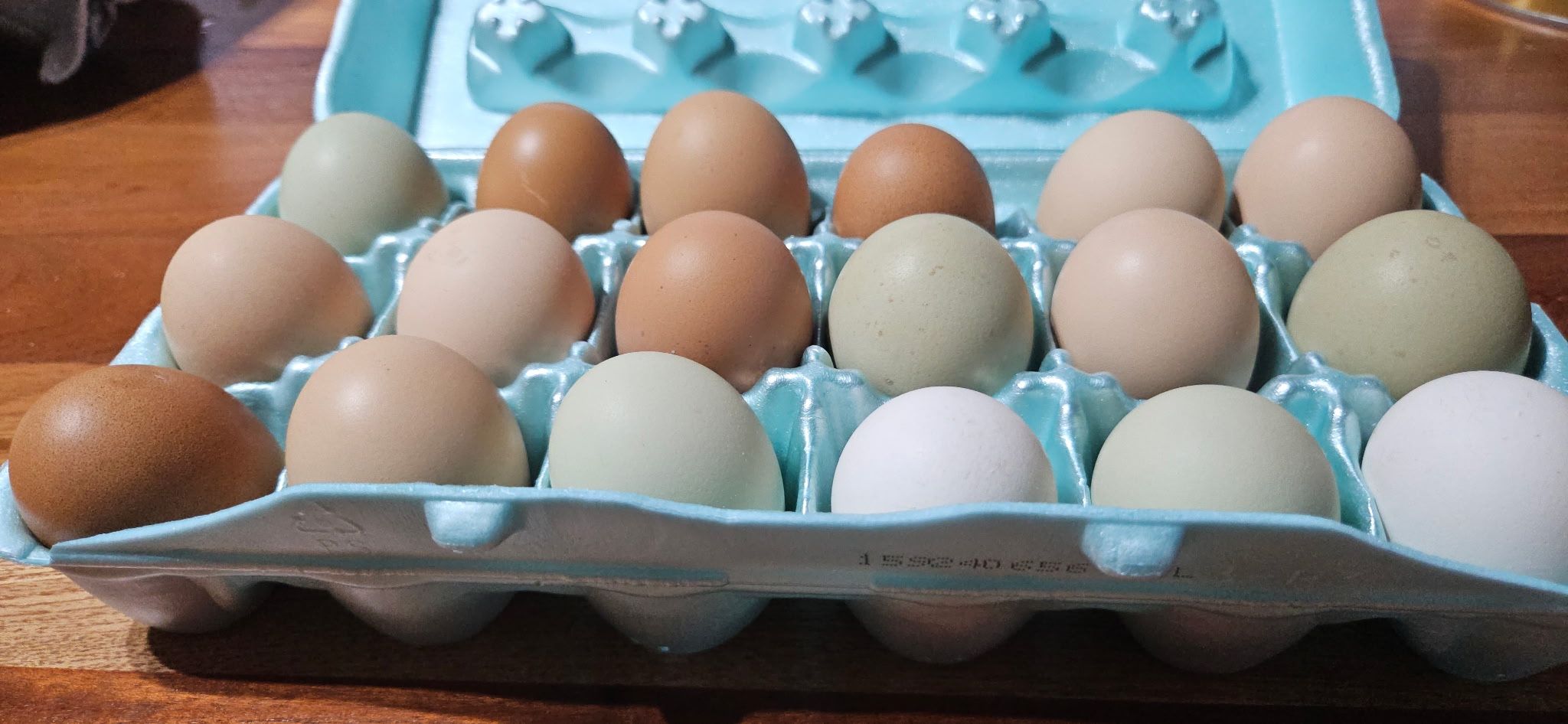Organic grown chicken eggs