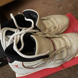 Platinum Tint 11’s 