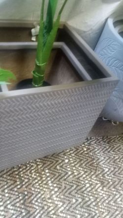 New box garden planter's