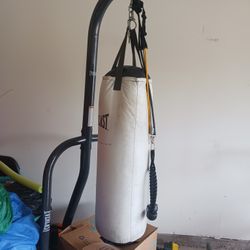BOXING PUNCHING BAG