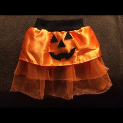 Pet Halloween Costume/Cape