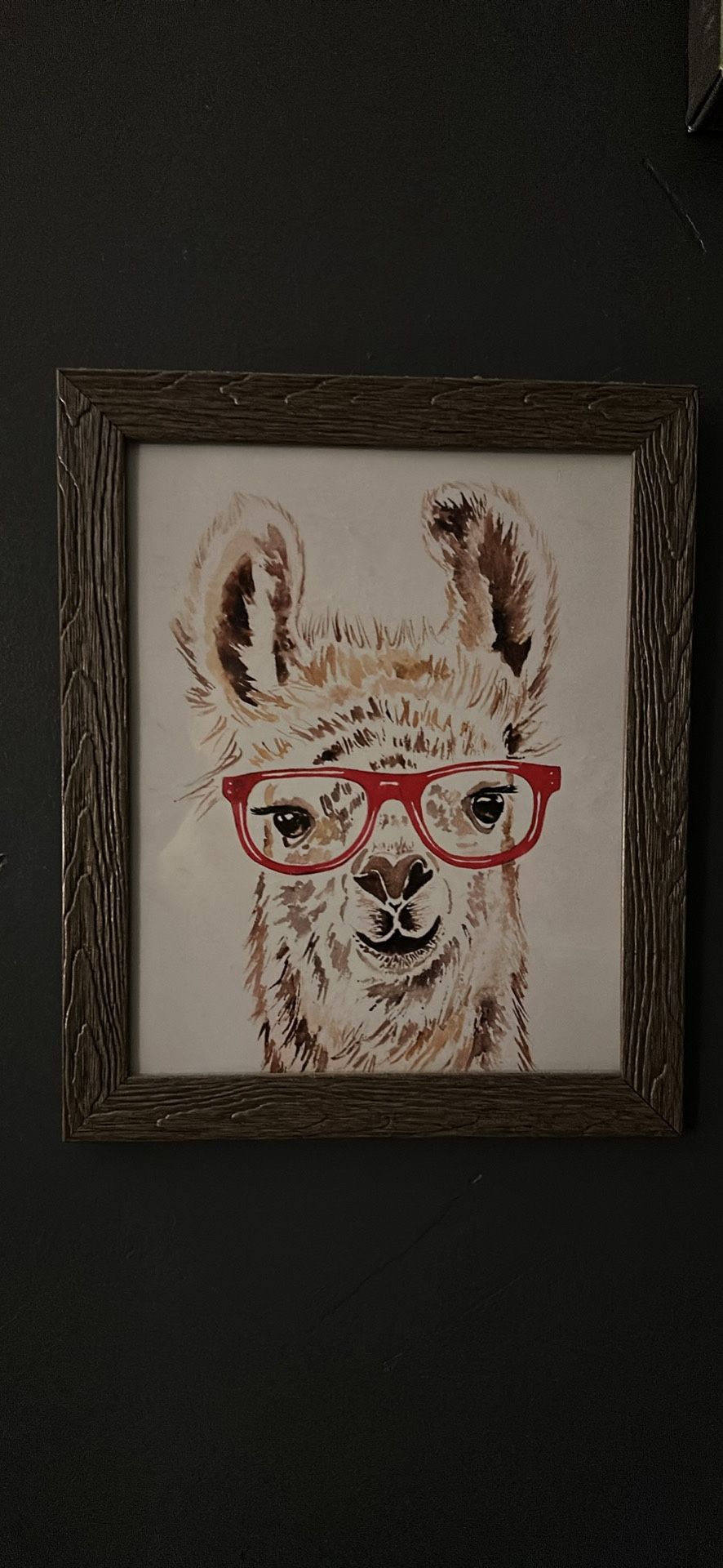 Llama Picture