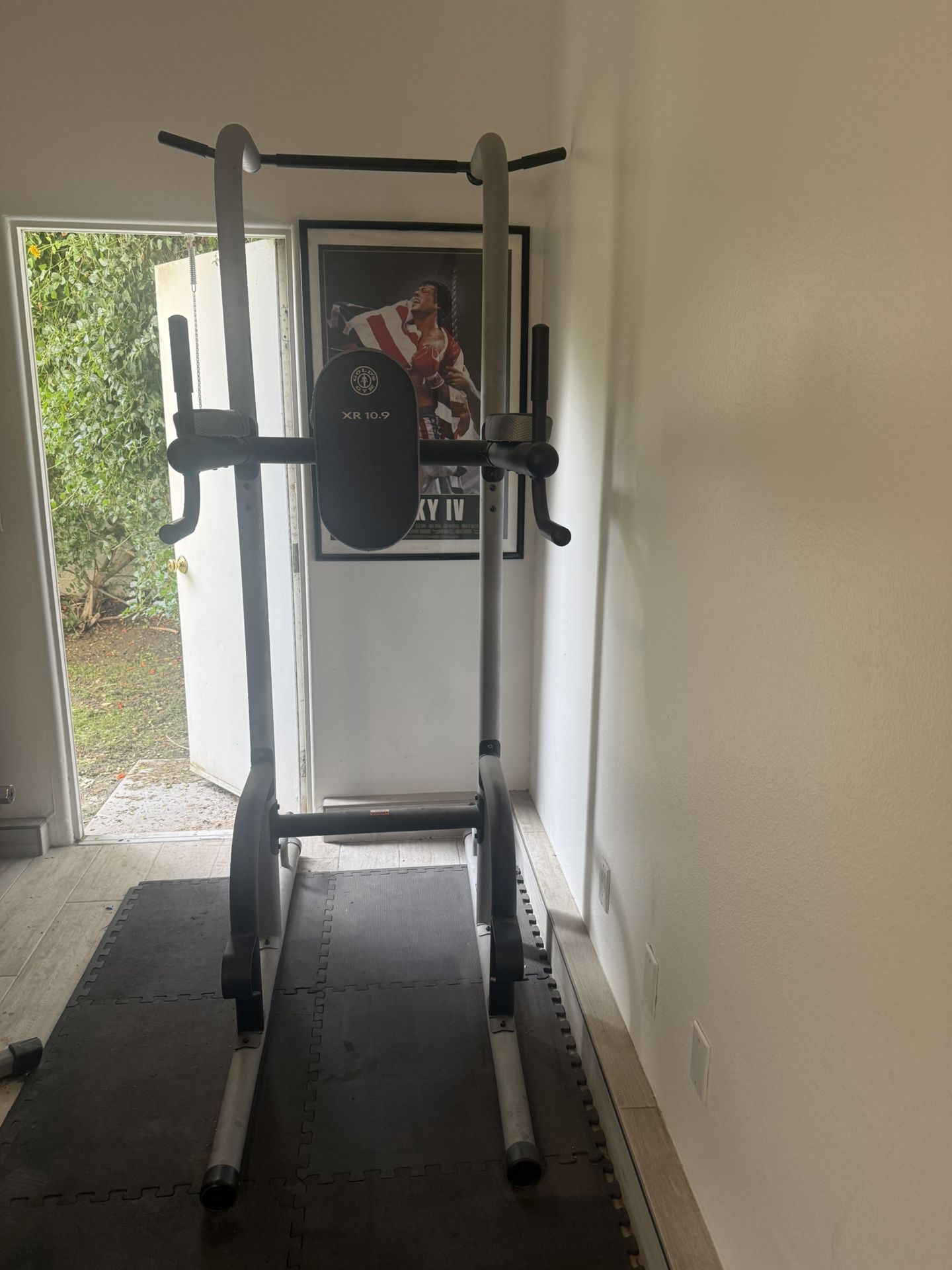 Golds pull up/ab tower