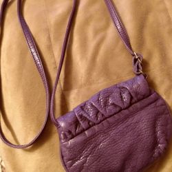 Small cross body purple purse.