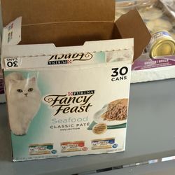 Can Cat Food