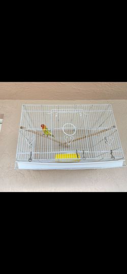 Bird cage