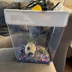 Betta Fish Fish Tank 