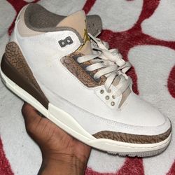 Palomino 3s Used Sz10 $140