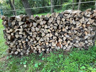 Seasoned firewood