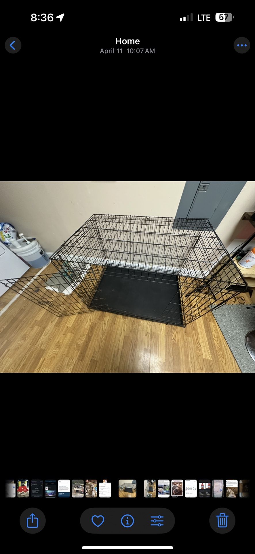 Large Dog Kennel