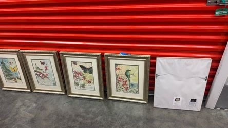 Set of 5 Botanical Nature Framed Art Prints