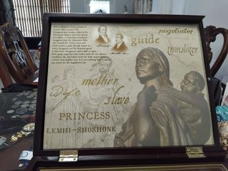 Sacagawea Golden Dollar $1 Collection Display Case/Box Set w/ Coins 2000-2007