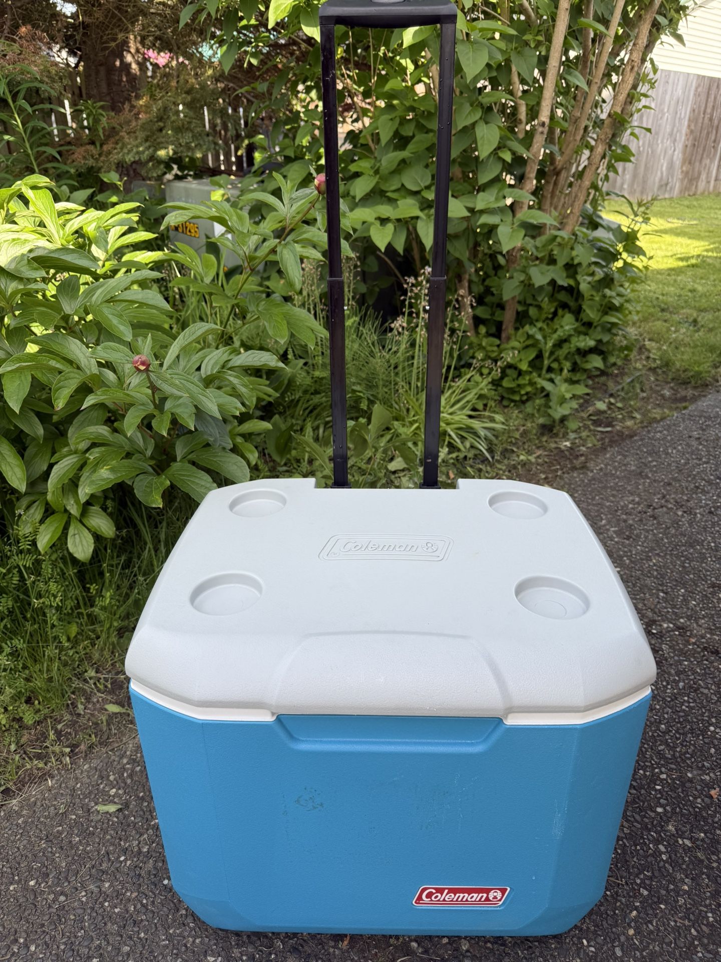 Large Cooler 