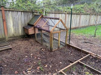 Good dirt from chicken manure!