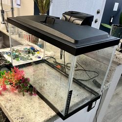 Fish Tank 10 Gallon 